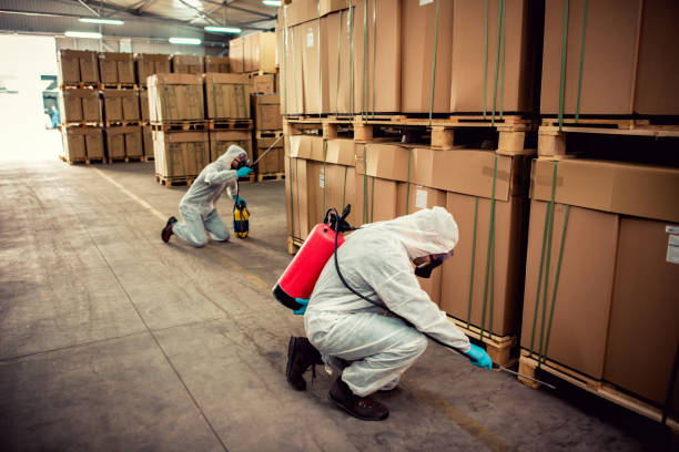 Best Wasp Removal Services  in Freeburg, IL