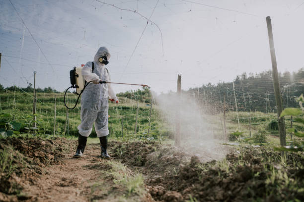 Professional Pest Control in Freeburg, IL