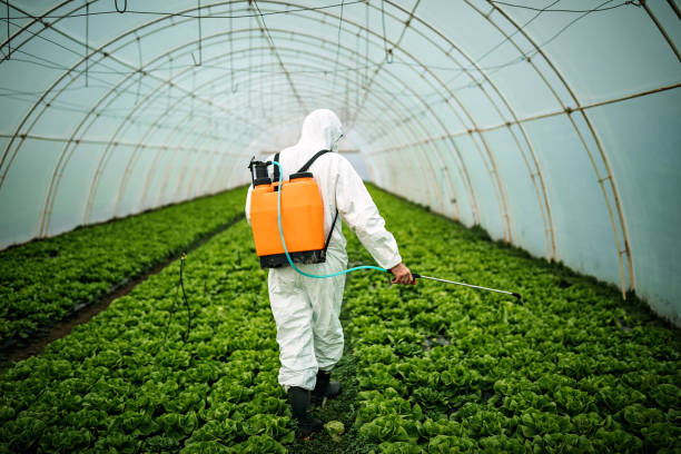 Best Pest Inspection Near Me  in Freeburg, IL