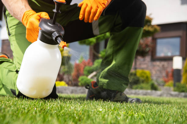 Best Wildlife Control Services  in Freeburg, IL