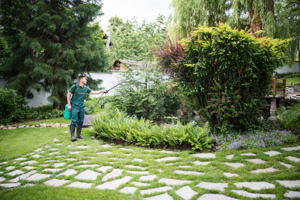 Best Ant Control Services  in Freeburg, IL