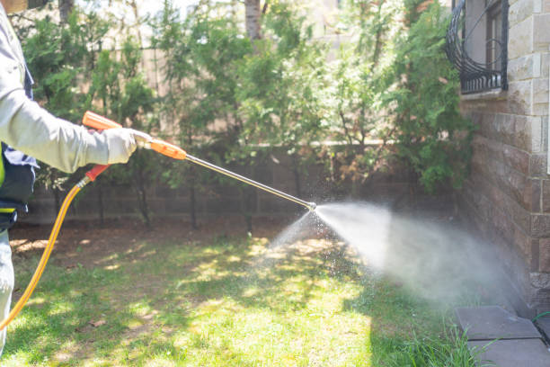 Best Wildlife Control Services  in Freeburg, IL