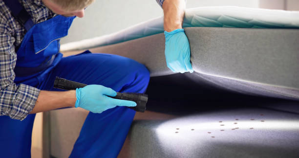 Best Flea Control Services  in Freeburg, IL