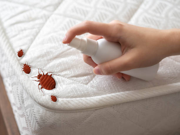 Best Bed Bug Extermination  in Freeburg, IL